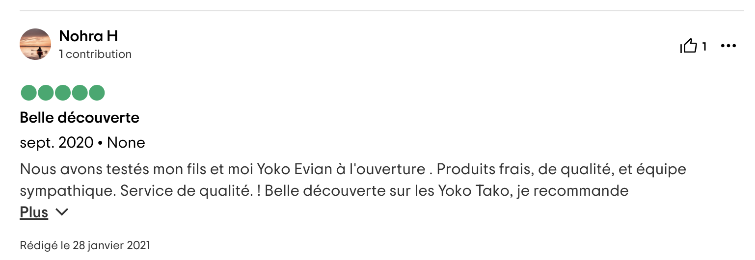 Yoko avis 1